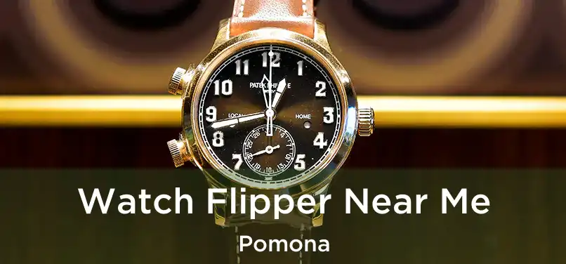 Watch Flipper Near Me Pomona